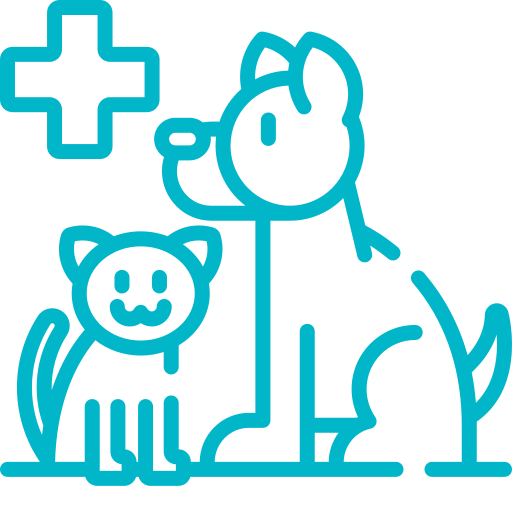 pets pets