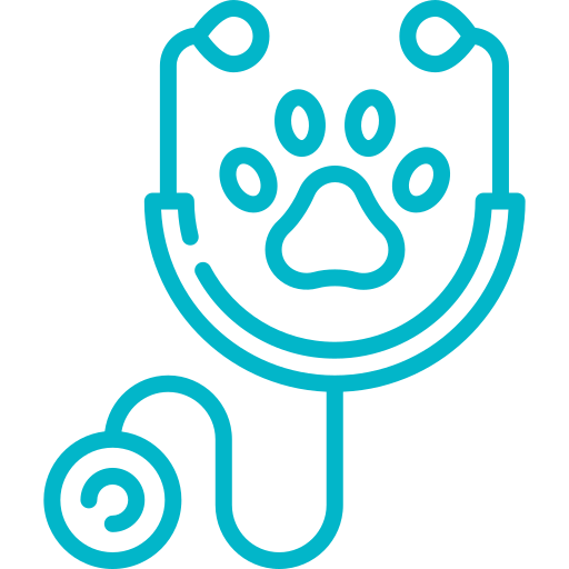 stethoscope stethoscope