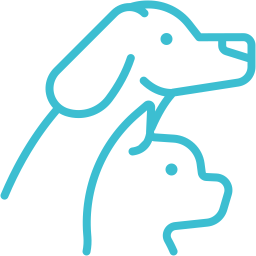 pet pet